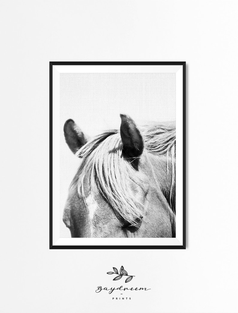 Black and White Horse Print Boho Wall Decor Minimalist Horse Etsy
