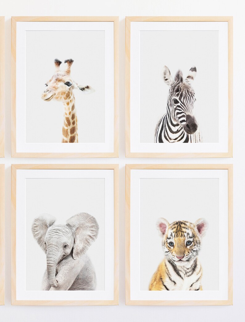Safari Baby Animal Prints Safari Nursery Art Baby Safari Etsy
