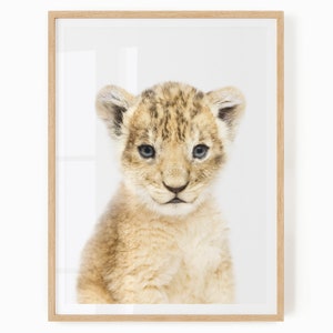 Baby Lion Nursery Art - Printable Animal Wall Art for Baby and Kids Room - Safari Nursery Decor - Lion Cub Art