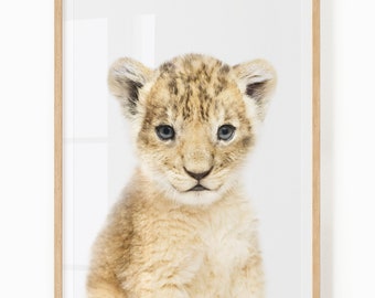 Baby Lion Nursery Art - Printable Animal Wall Art for Baby and Kids Room - Safari Nursery Decor - Lion Cub Art