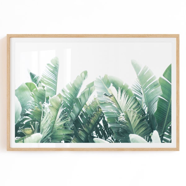 Banana Leaf Print - Digital Download - Boho Greenery Art - Banana Leaf Photo - Boho Greenery Decor - Tropical Wall Art - Banana Leaf Poster