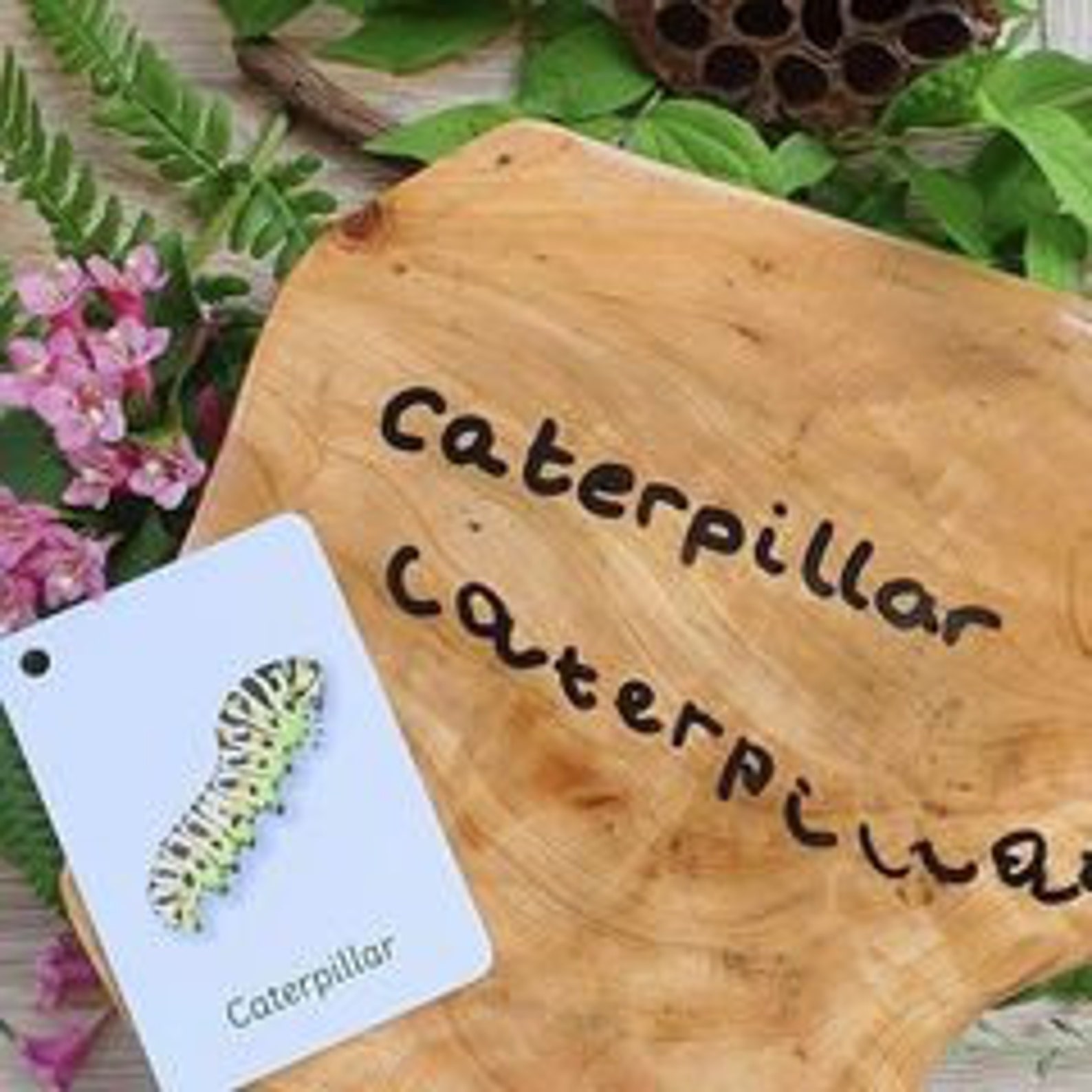 Minibeast Flashcards Flash Cards Educational Learning Etsy UK