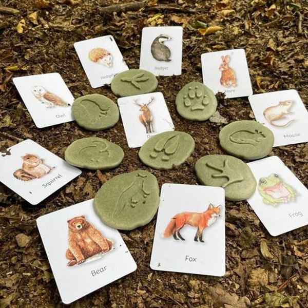 Woodland Footprints | Teaching Resources | Learning Cards | Home Education | Montessori Flash Cards | Early Years | Tracking |Primary