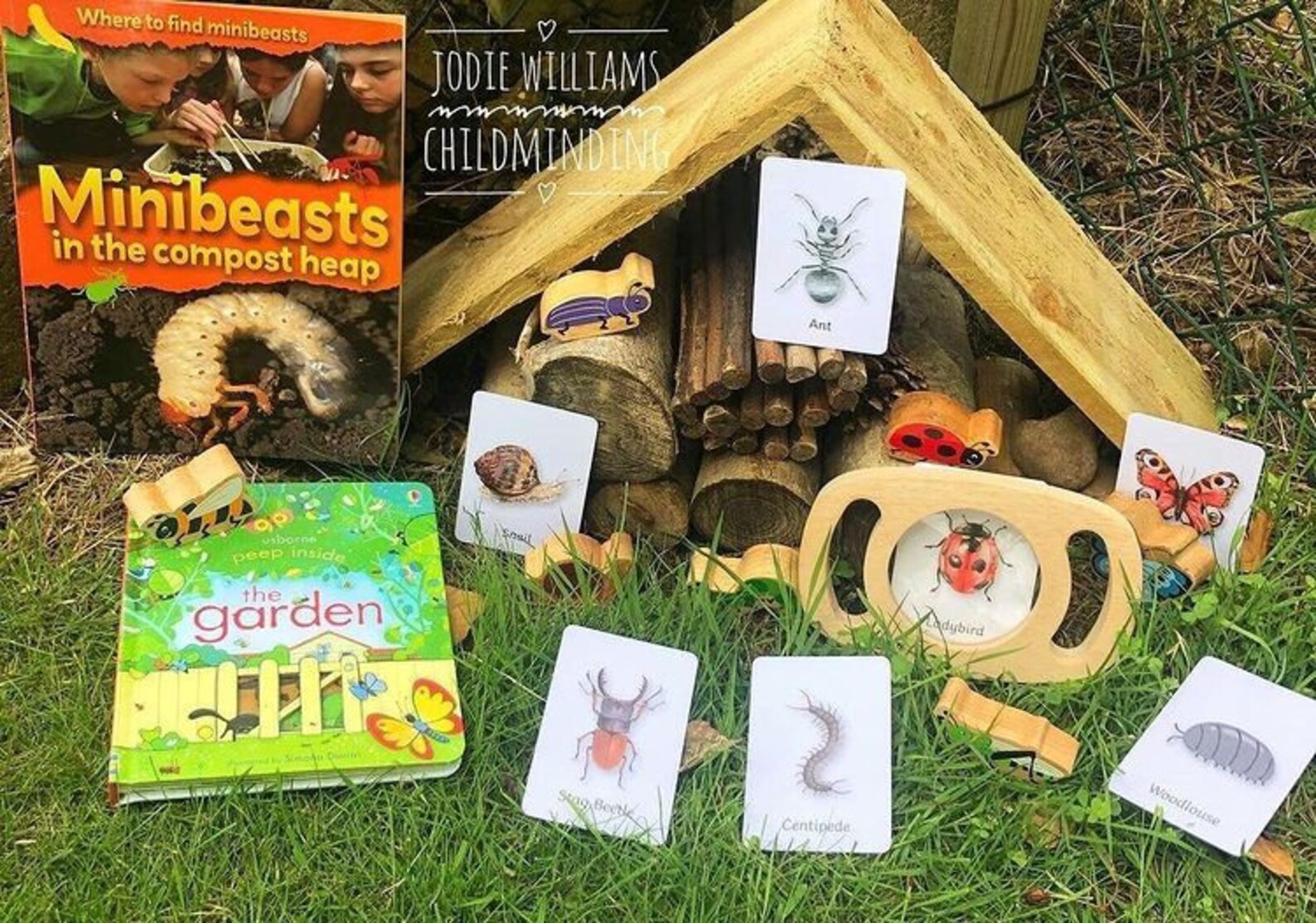 Minibeast Flashcards Flash Cards Educational Learning Etsy UK