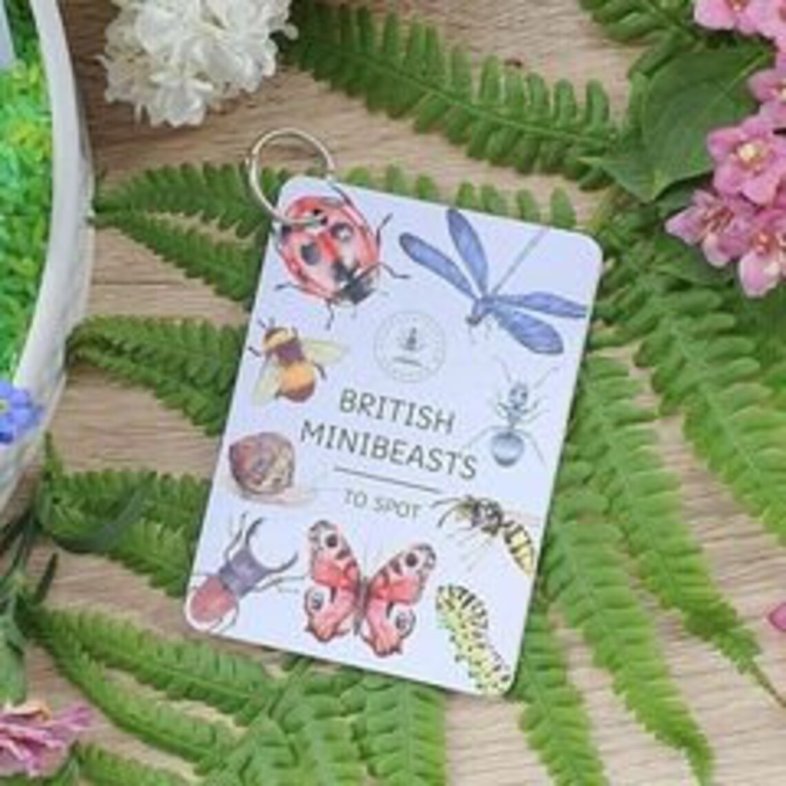 Minibeast Flashcards Flash Cards Educational Learning Etsy UK
