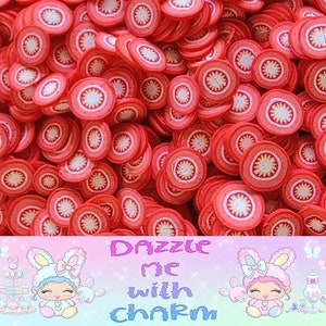 Polymer clay tomato slices for crafting decoden fake bake foods.