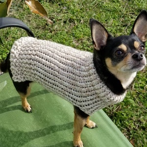 Dog sweater, cute dog or cat sweater, hand knitted, chihuahua, yorkie, puppy, small dog, warm pet sweater, cold wear for dogs