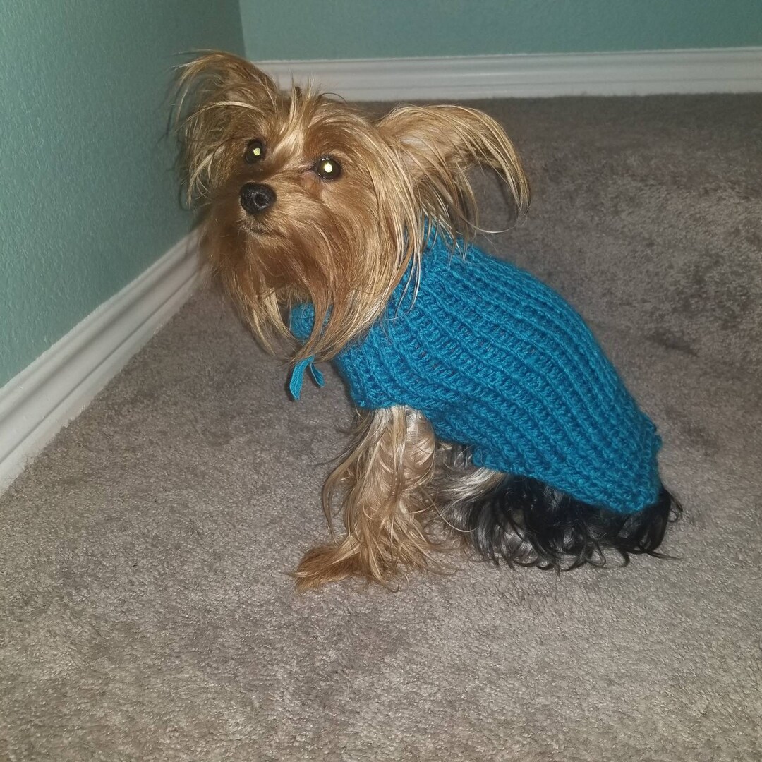 Dog Sweater, Cute Dog Sweater, Hand Knitted, Chihuahua, Yorkie, Puppy
