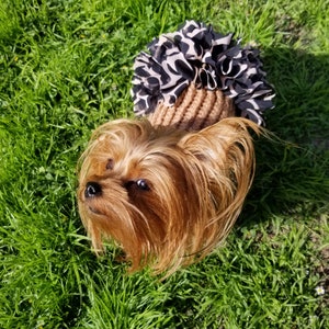 Dog sweater, cute dog or cat sweater, hand knitted, chihuahua, yorkie, puppy, small dog, warm pet sweater, cold wear for dogs