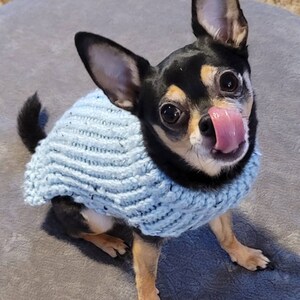 Dog sweater, cute dog or cat sweater, hand knitted, chihuahua, yorkie, puppy, small dog, warm pet sweater, cold wear for dogs