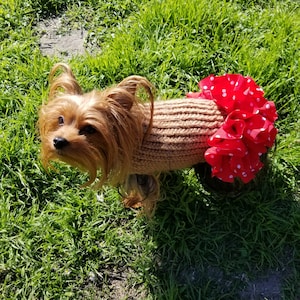 Dog sweater, cute dog or cat sweater, hand knitted, chihuahua, yorkie, puppy, small dog, warm pet sweater, cold wear for dogs