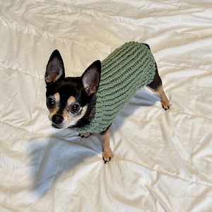 Dog sweater, cute dog sweater, handknitted, chihuahua, yorkie, puppy, small dog, warm pet sweater, unique dog sweater, cold wear for dogs