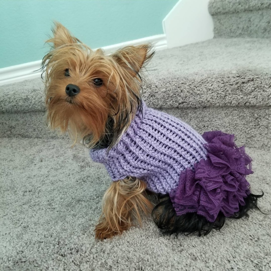 Dog Sweater, Cute Dog Sweater, Lavender Sweater, Yorkie, Puppy, Small