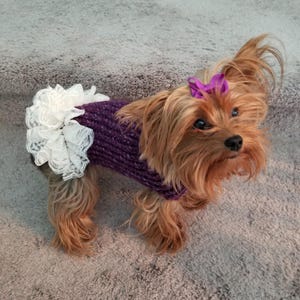 Dog sweater, cute dog or cat sweater, hand knitted, chihuahua, yorkie, puppy, small dog, warm pet sweater, cold wear for dogs