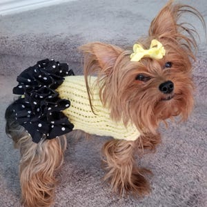 Dog sweater, cute dog or cat sweater, hand knitted, chihuahua, yorkie, puppy, small dog, warm pet sweater, cold wear for dogs