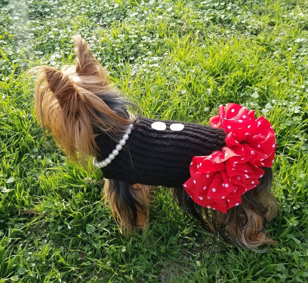Little Black Dress,dog Sweater, Hand Knitted, Holiday Sweater, Yorkie
