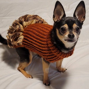 Dog sweater, cute dog or cat sweater, hand knitted, chihuahua, yorkie, puppy, small dog, warm pet sweater, cold wear for dogs