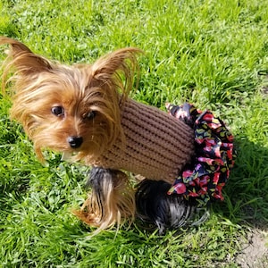 Dog sweater, cute dog or cat sweater, hand knitted, chihuahua, yorkie, puppy, small dog, warm pet sweater, cold wear for dogs