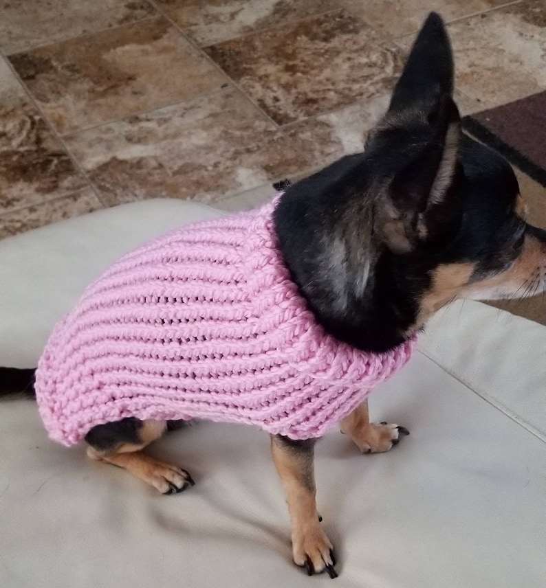 Dog Sweater Cute Dog Sweater Hand Knitted Chihuahua Etsy