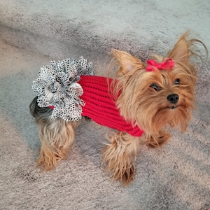 Dog sweater, cute dog or cat sweater, hand knitted, chihuahua, yorkie, puppy, small dog, warm pet sweater, cold wear for dogs