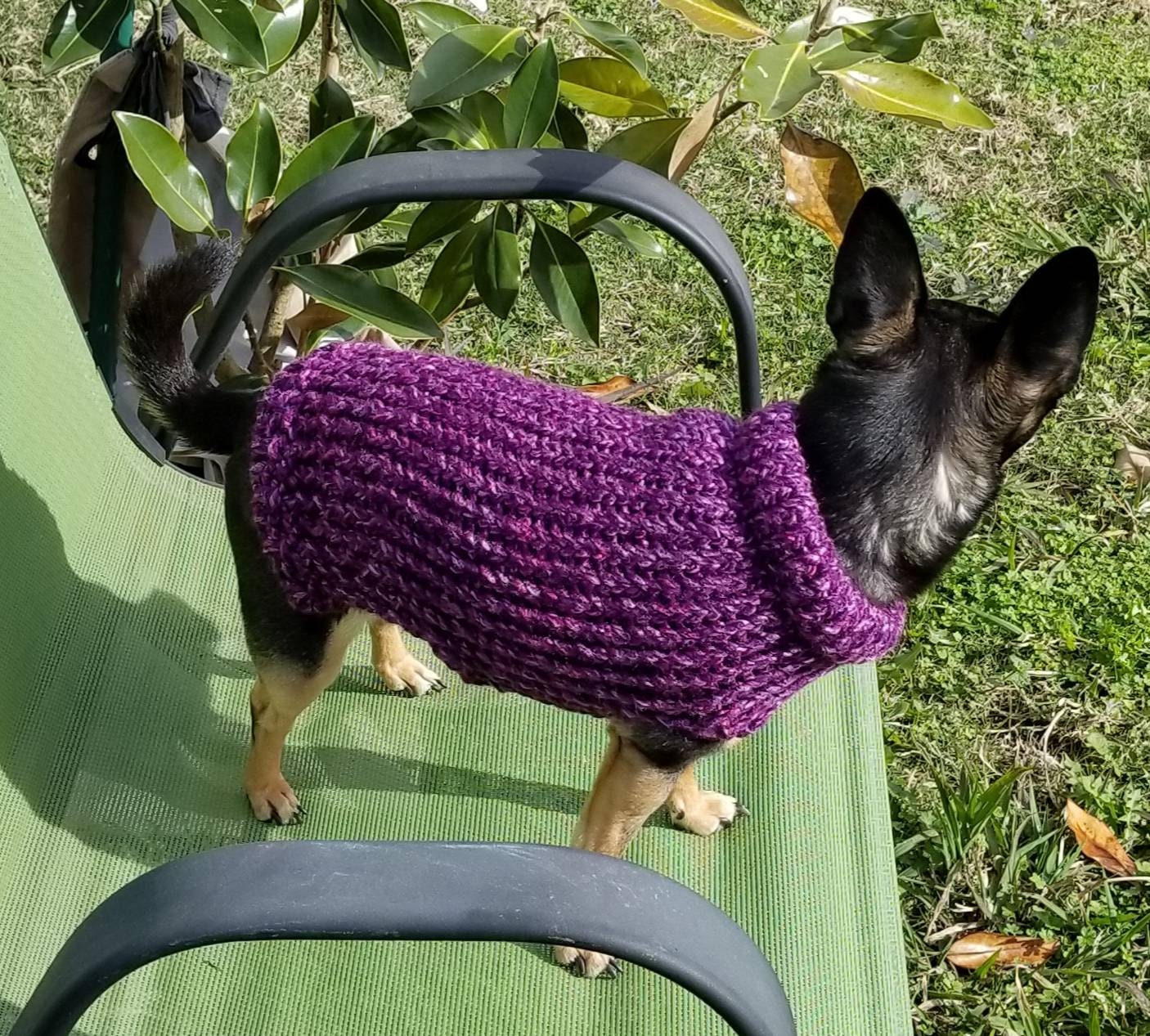 Dog sweater cute dog sweater hand knitted chihuahua Etsy