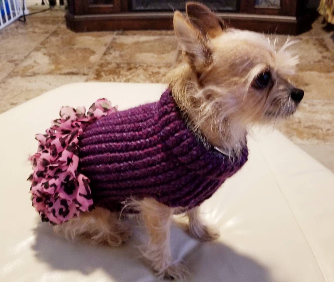 Dog sweater, cute dog or cat sweater, hand knitted, chihuahua, yorkie…