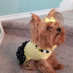 Dog sweater, cute dog or cat sweater, hand knitted, chihuahua, yorkie, puppy, small dog, warm pet sweater, cold wear for dogs