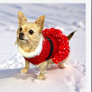 Christmas Mrs Santa Claus Dog Sweater,Santa dog sweater,Holiday dog clothes,Cute dog,holiday,dog sweater,winter,dog sweater,girl dog clothes