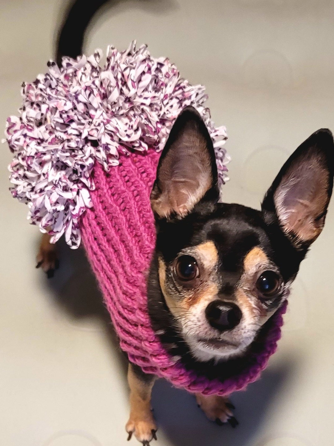 Dog Sweater, Cute Dog Sweater, Hand Knitted, Chihuahua, Yorkie, Puppy, Small Dog, Warm Pet