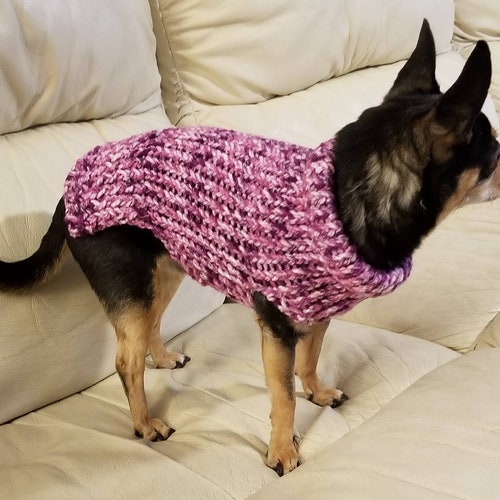 Dog Sweater Cute Dog Sweater Hand Knitted Chihuahua Etsy