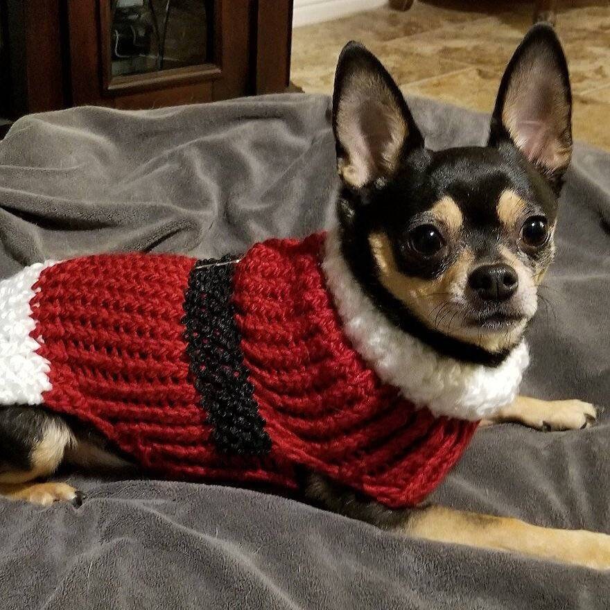 Holiday Dog Sweater - Etsy
