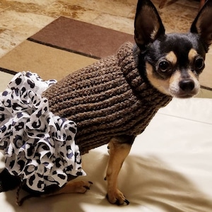 Dog sweater, cute dog or cat sweater, hand knitted, chihuahua, yorkie, puppy, small dog, warm pet sweater, cold wear for dogs
