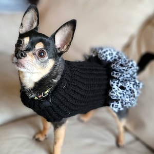 Dog sweater, cute dog sweater, knitted dog sweater, chihuahua, yorkie, puppy, small dog clothes, warm dog sweater, winter dog sweater