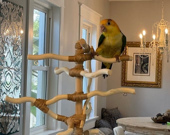Build your own bird play gym sales