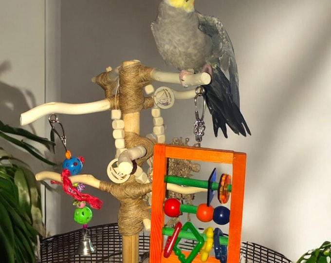 Custom CAGE-TOP Parrot Stand, No Base Needed, All-natural Wood, Parrot Play Stand