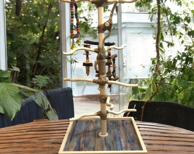 MULTI-BRANCH for Unflighted Birds, Natural Wood Bird Stand, Conure, Budgie, Cockatiel