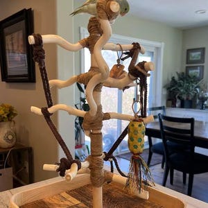 Custom Parrot Play Stand, Toy Ladder, Deep Base, 1.5 ft., All-natural Wood!