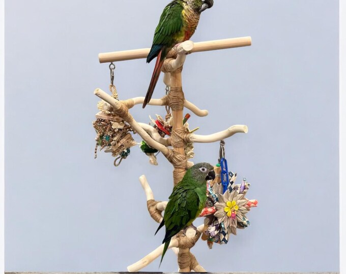 All-natural Wood Conure Stand, Standard 2 ft., All-natural Parrot Play-area, Tabletop