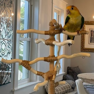 Two-foot Parrot Stand, EXTRA LARGE BASE, Wood Play-stand, All-natural Wood! Budgie, Conure, Cockatiel