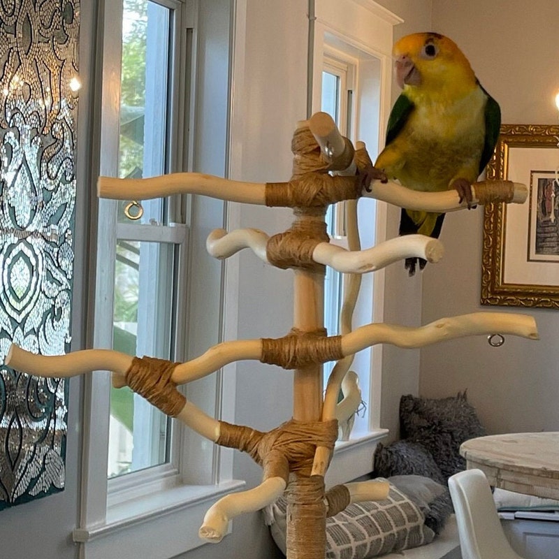Bird Stand - Etsy