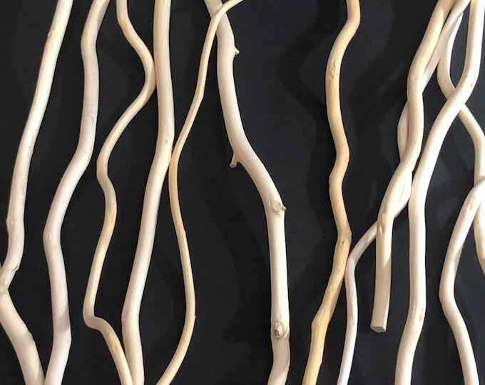 Corkscrew Willow Branches, Diffusers, Bird Toys - Bundle of 40