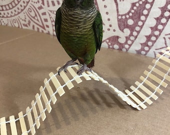 TWO Wood Ladder/Bridges, Bird Toys, Parrot Accessories