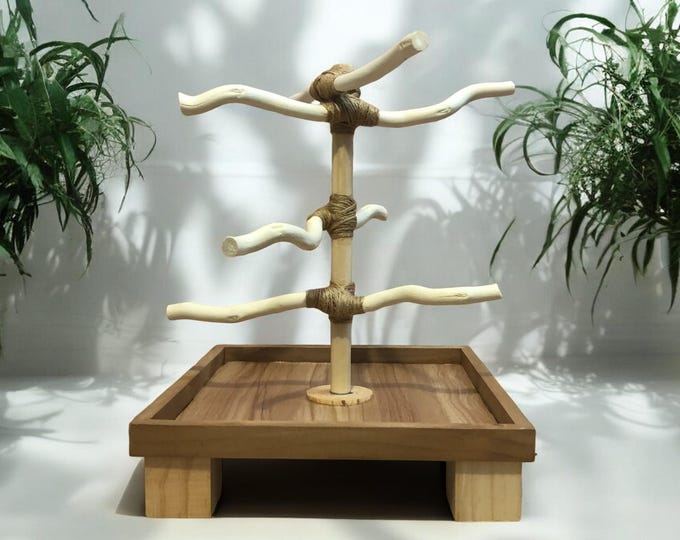 All-NATURAL Wood, Standard One-foot Play stand, Portable, Convenient, Budgie, Conure