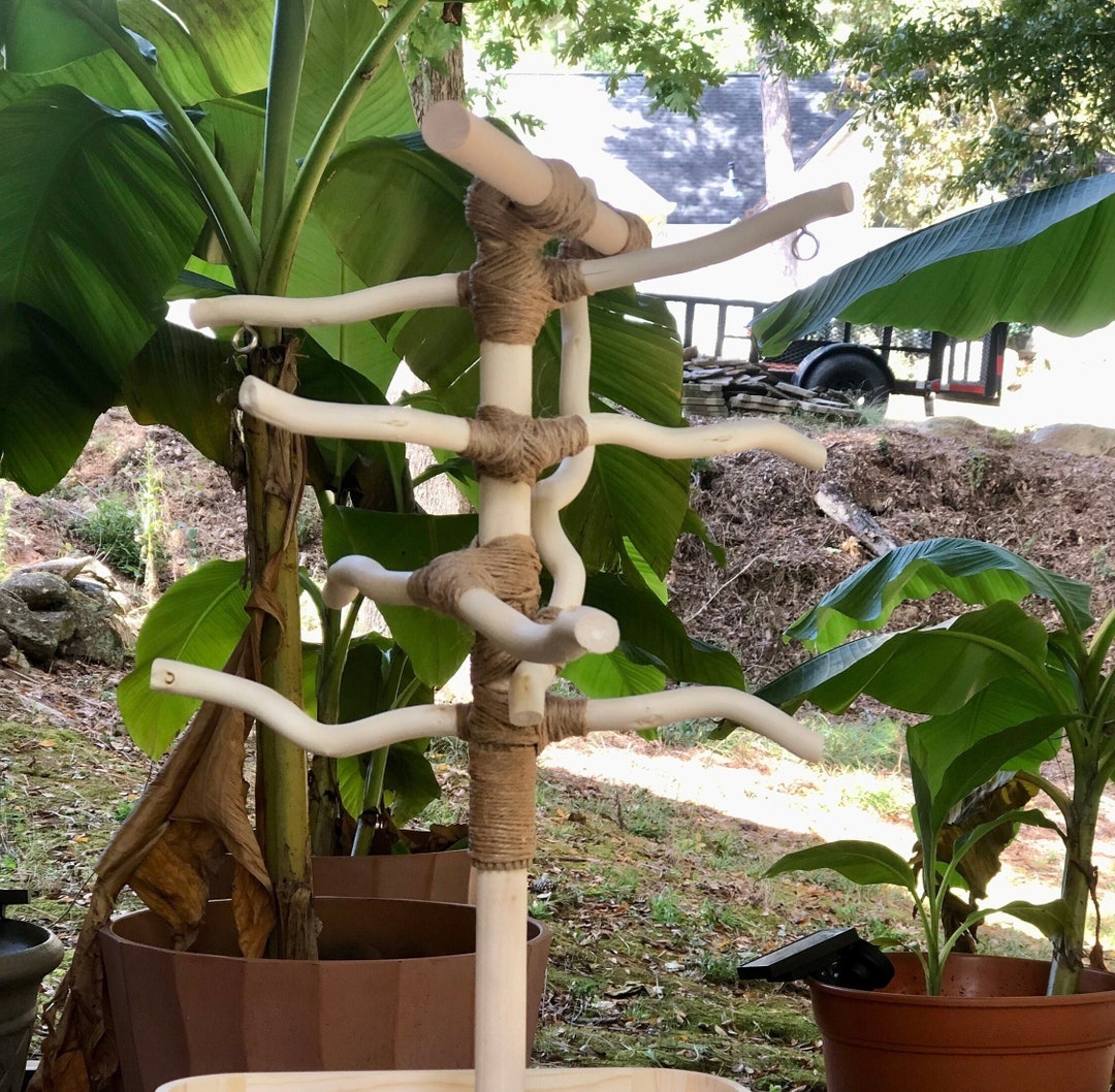 Twofoot Parrot Stand Handmade Organic Allnatural Wood Etsy