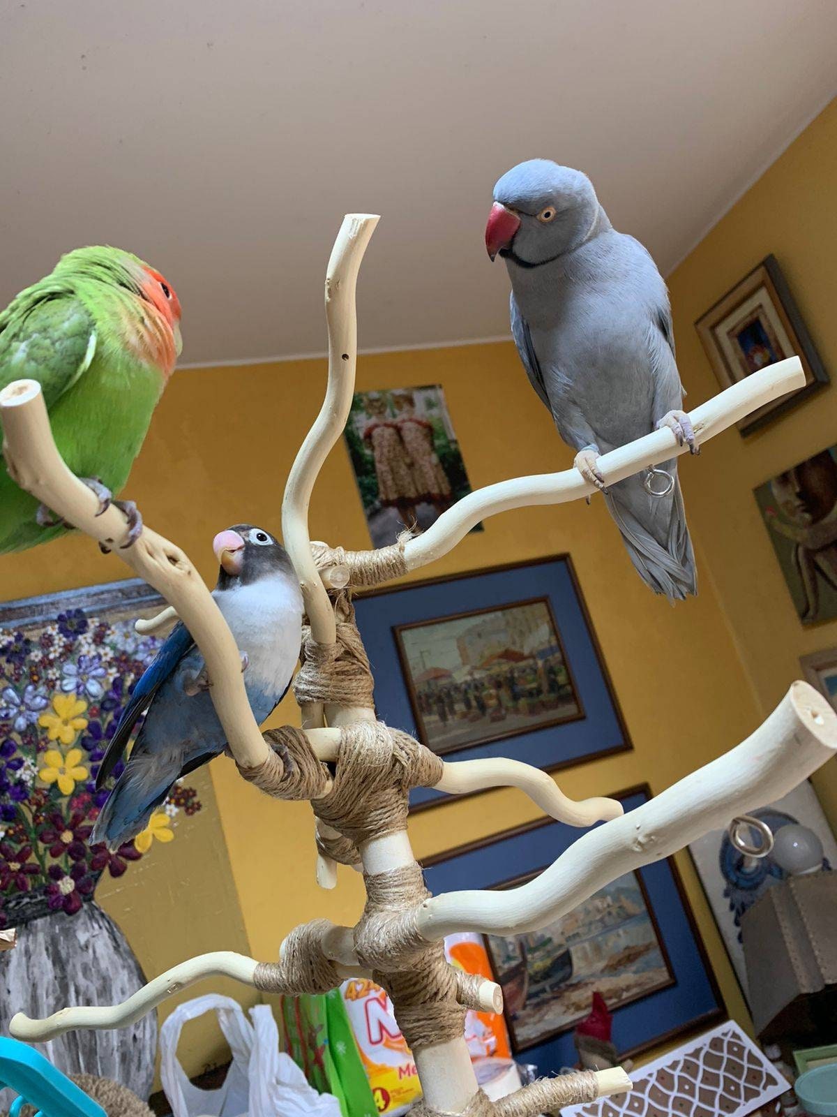 gallery photo