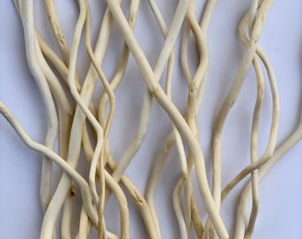 Curly Corkscrew Willow Wood, Bundle of 20