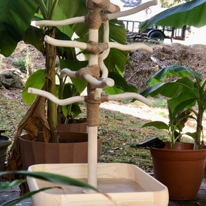 Natural Wood Bird Stand, Deep Base, ONE ft. Play-stand, Budgie, Conure