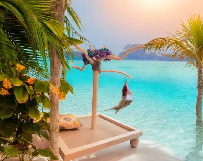 One-foot Stand, Minimalist, Portable & Convenient, Budgies, Lovebirds