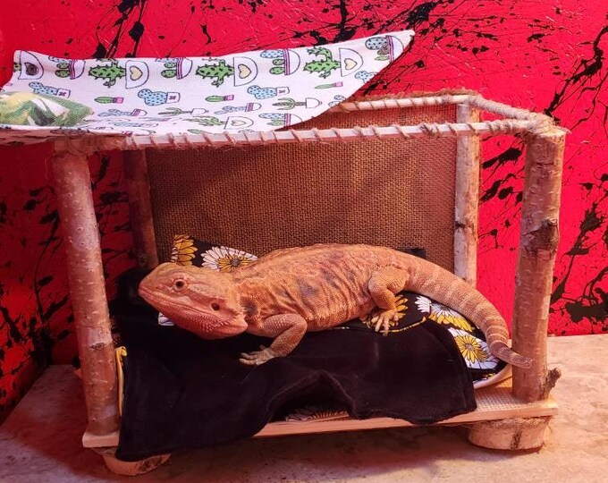 Cabana Bed, Bearded Dragon Bed, Natural Birch Wood, Small Pets, Hamster, Gerbil, Reptiles