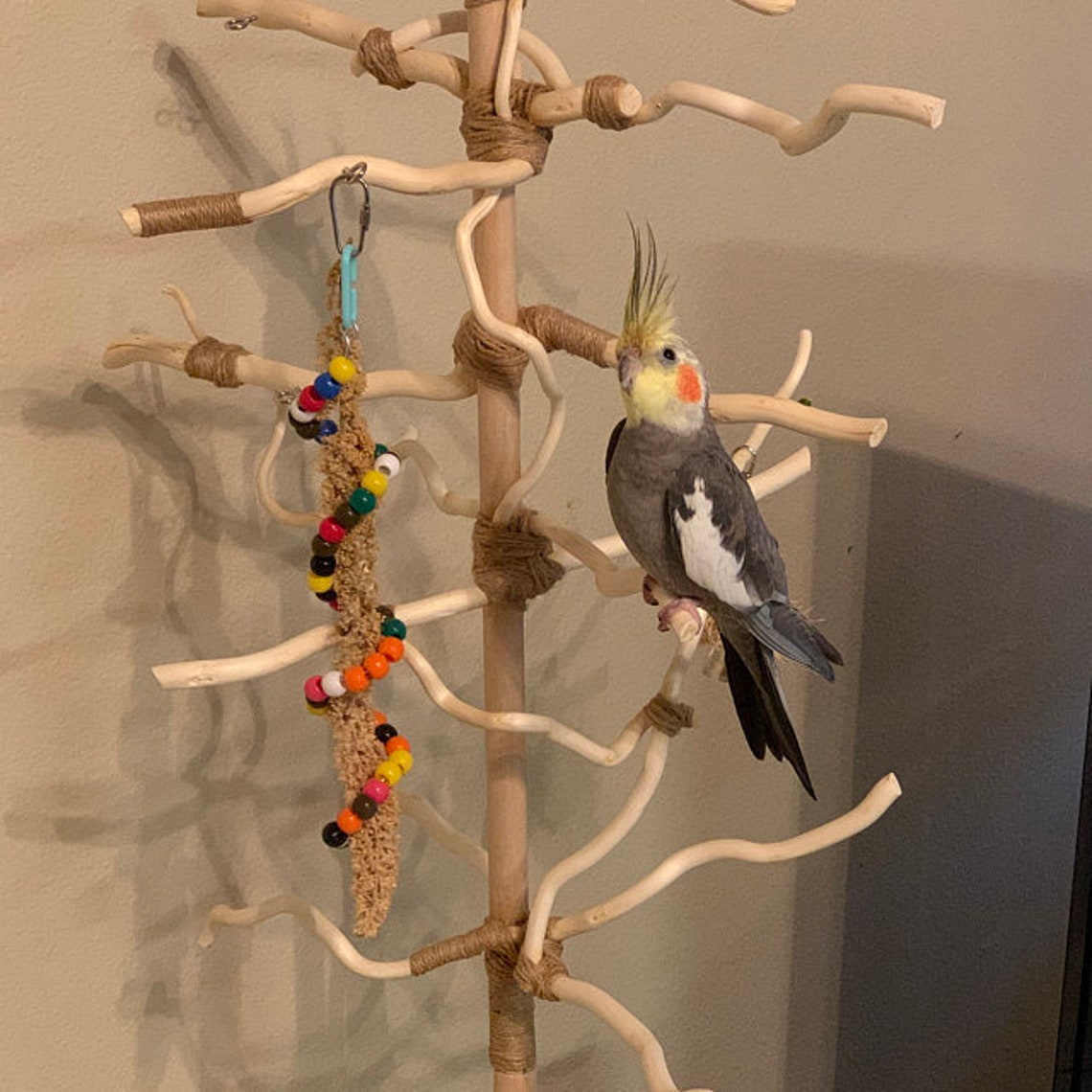 Parrot Perch Playstand Portable Natural Untreated Wood Etsy
